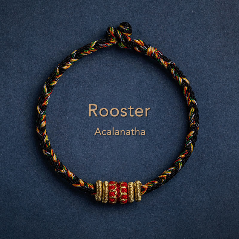 Handmade Chinese Zodiac Natal Buddha Luck Strength Braided String Bracelet - 2025's Top Trend