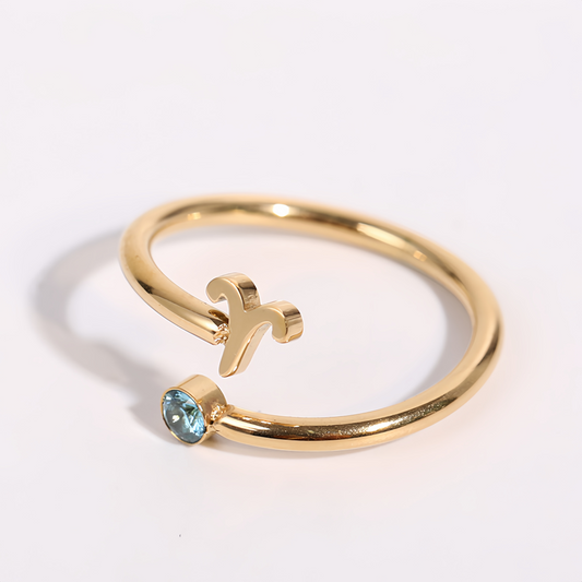 Zodiac Birthstone Titanium Steel Ring with Rune Symbols - Adjustable Open  Zircon Astrology Jewelry
