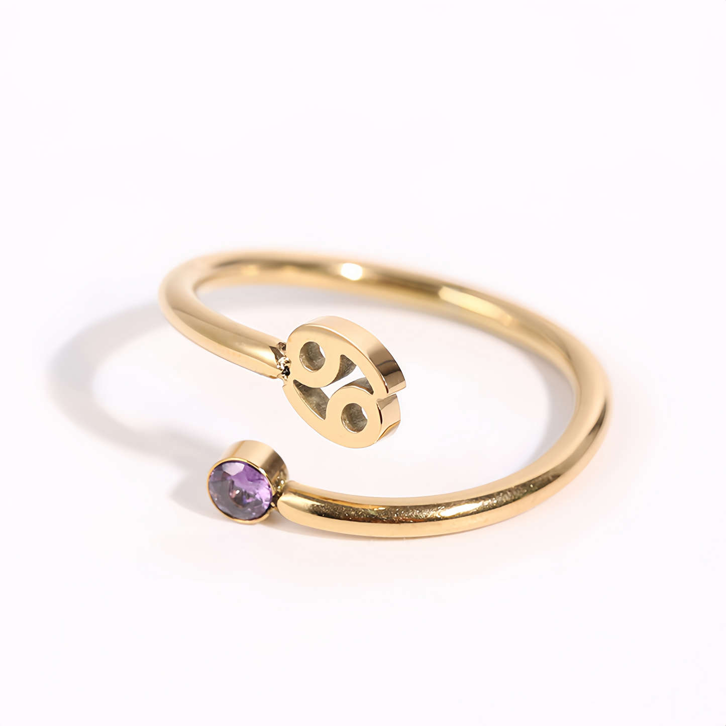 Zodiac Birthstone Titanium Steel Ring with Rune Symbols - Adjustable Open  Zircon Astrology Jewelry