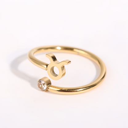 Zodiac Birthstone Titanium Steel Ring with Rune Symbols - Adjustable Open  Zircon Astrology Jewelry