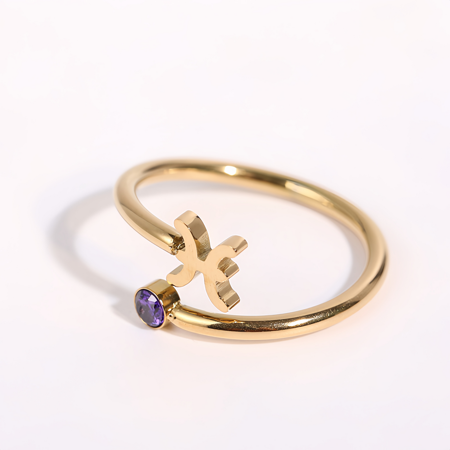 Zodiac Birthstone Titanium Steel Ring with Rune Symbols - Adjustable Open  Zircon Astrology Jewelry